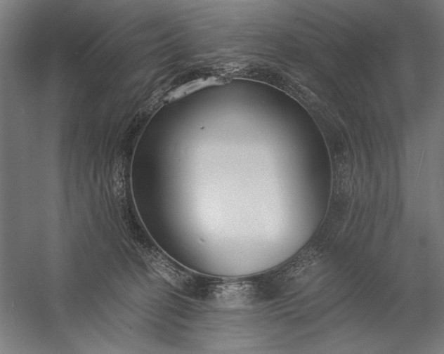 X0000056360274200509091630