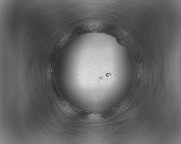 X0000056360279200509091630