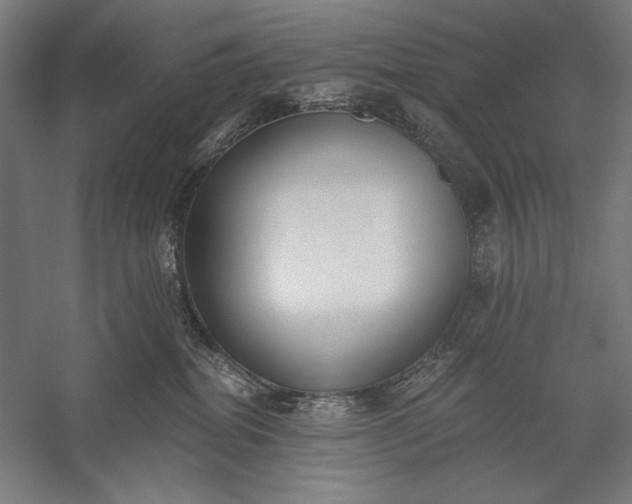 X0000056360282200509091631