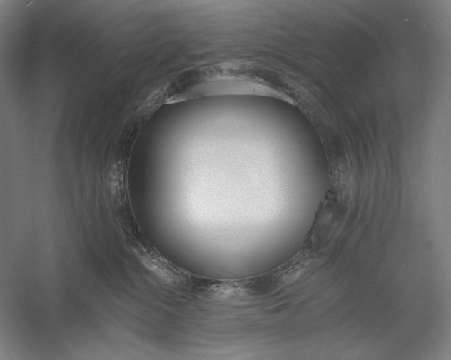 X0000056360284200509091631