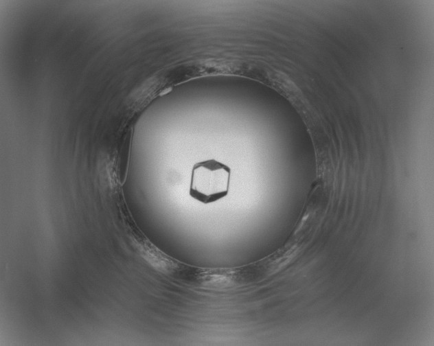 X0000056360285200509091631