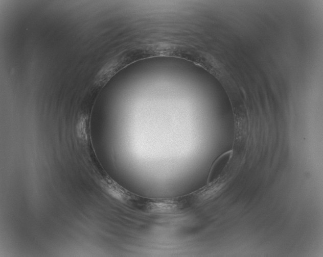 X0000056360286200509091631