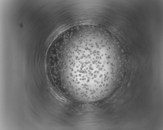 X0000056360290200509091630