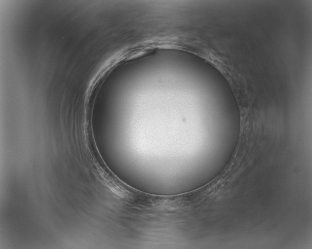 X0000056360293200509091630