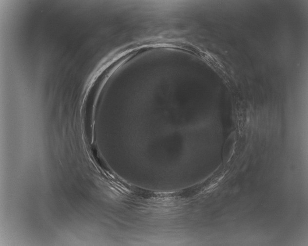 X0000056360295200509091630