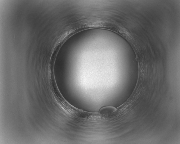 X0000056360298200509091630