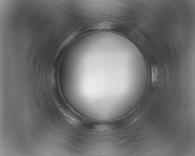 X0000056360300200509091630