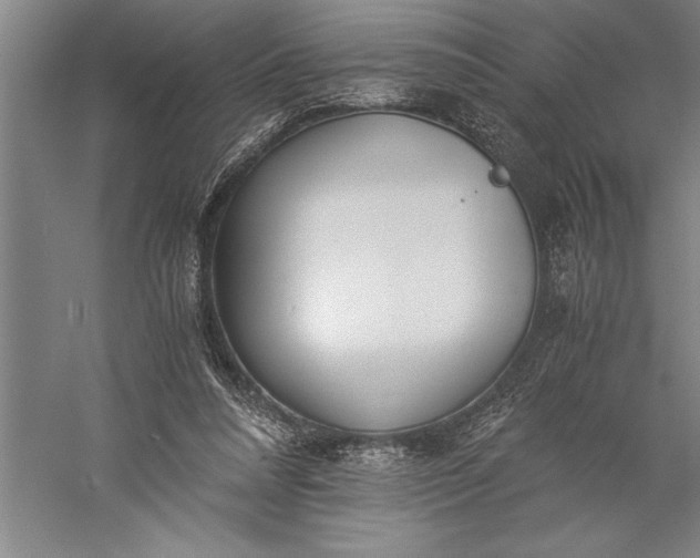 X0000056360304200509091630