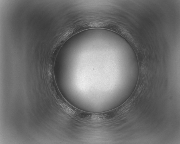 X0000056360305200509091630