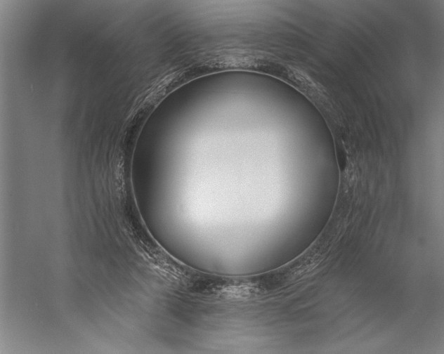 X0000056360306200509091630