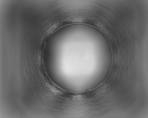 X0000056360309200509091629