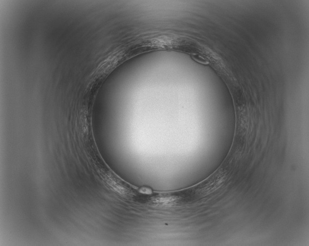 X0000056360313200509091629