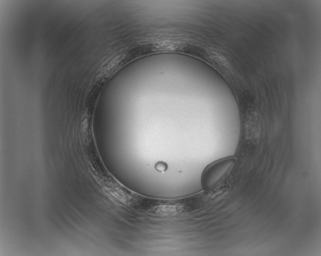 X0000056360314200509091629