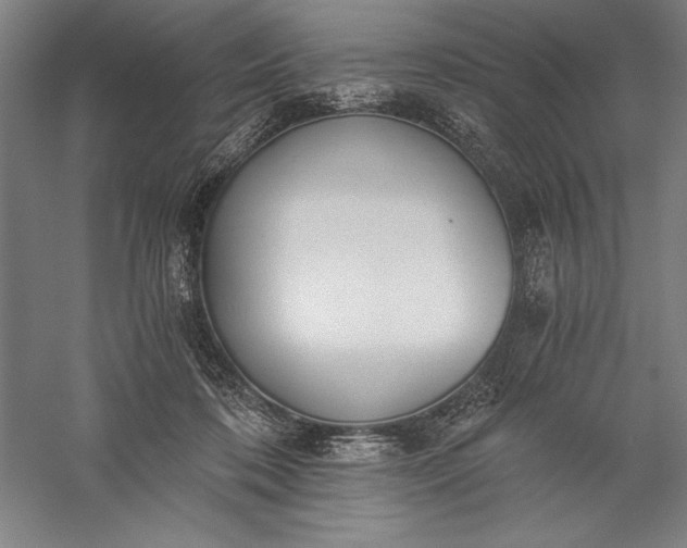 X0000056360316200509091629