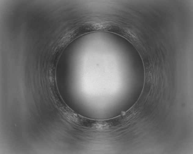 X0000056360317200509091629