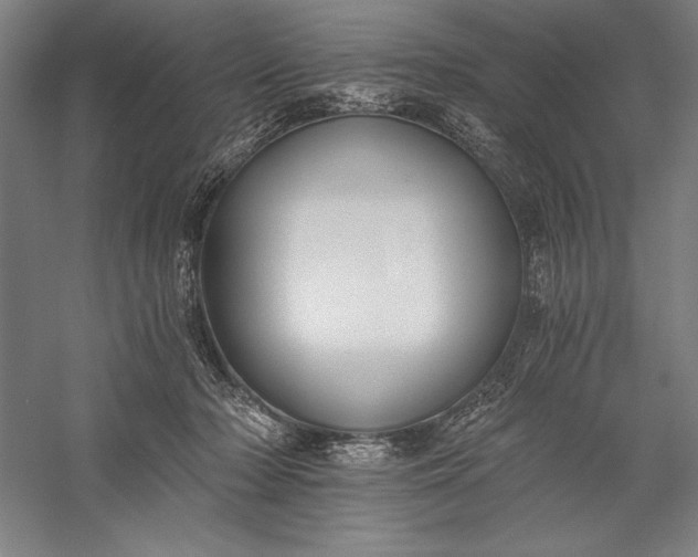 X0000056360318200509091629