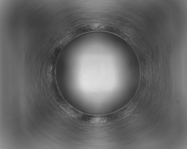 X0000056360319200509091629