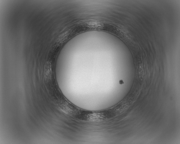 X0000056360320200509091629