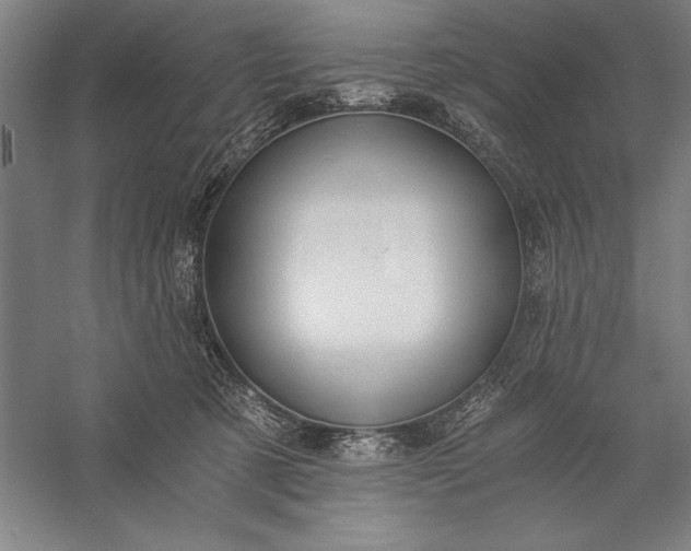 X0000056360321200509091629