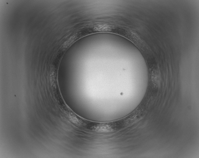 X0000056360322200509091629