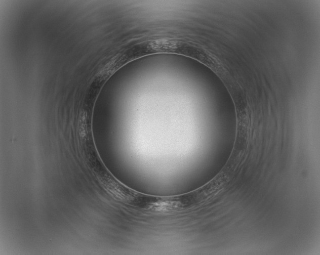 X0000056360323200509091629