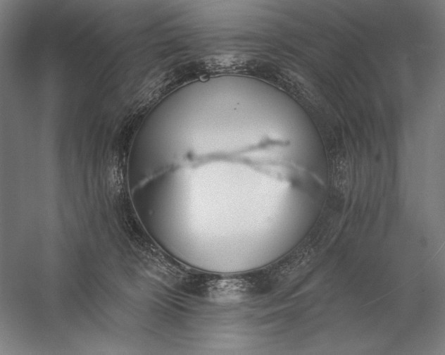 X0000056360324200509091629