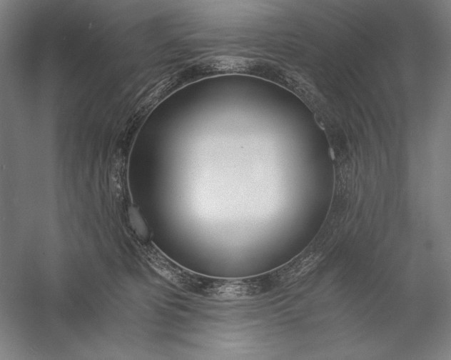 X0000056360325200509091629