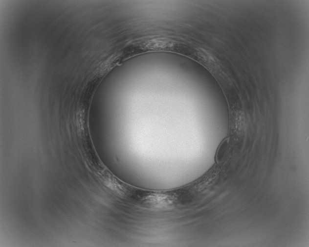 X0000056360326200509091629