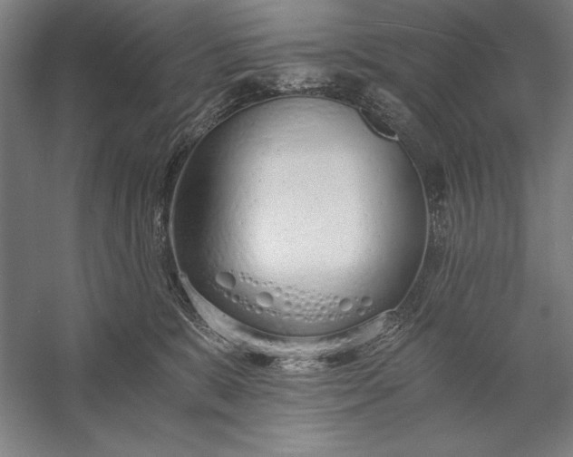 X0000056360327200509091629