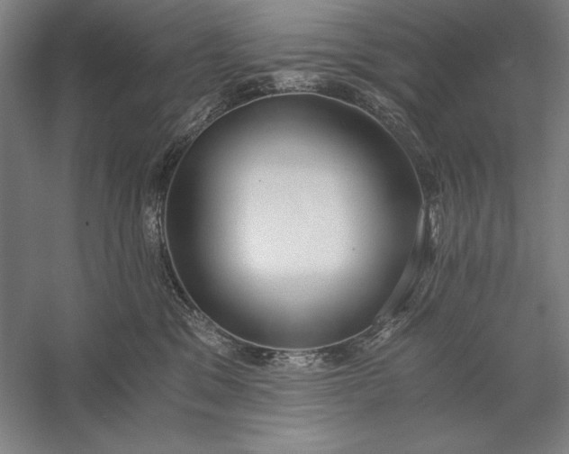 X0000056360329200509091629