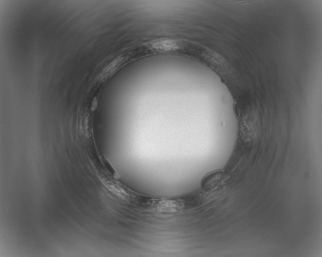 X0000056360330200509091629