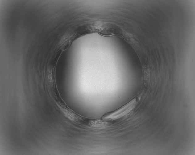 X0000056360331200509091629