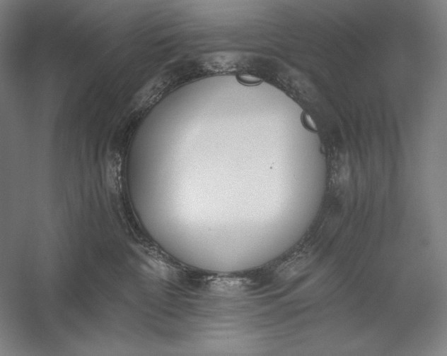 X0000056360332200509091629