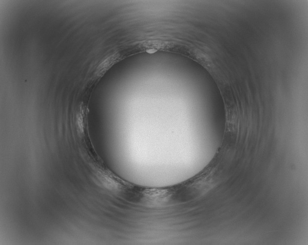 X0000056360334200509091629