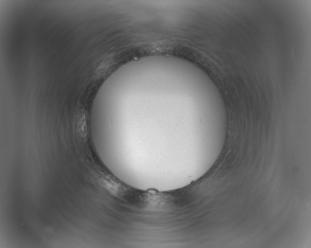 X0000056360336200509091629