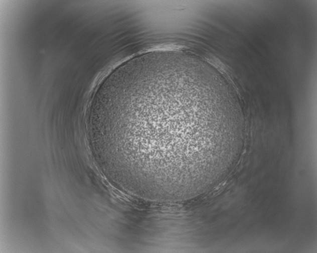 X0000056360337200509091628