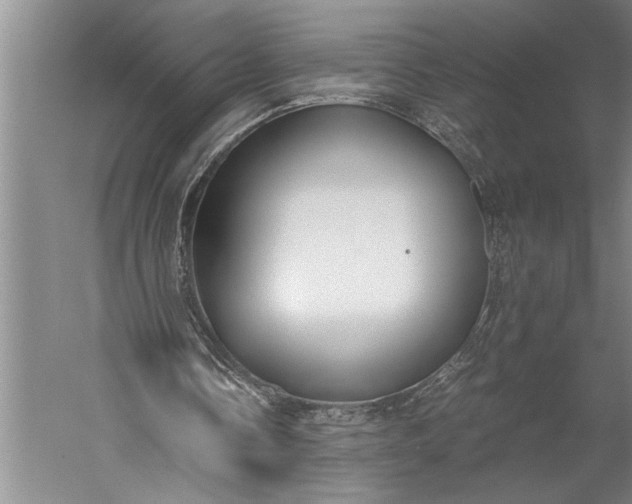 X0000056360338200509091628