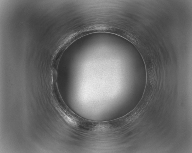 X0000056360350200509091628