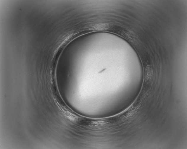 X0000056360351200509091628