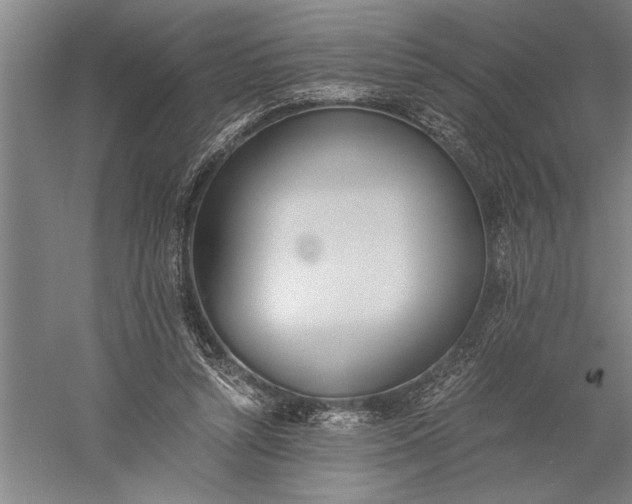 X0000056360352200509091628