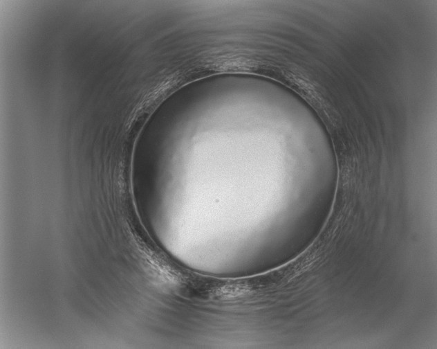 X0000056360353200509091628