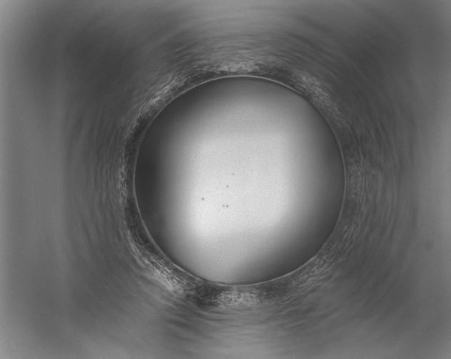 X0000056360354200509091628