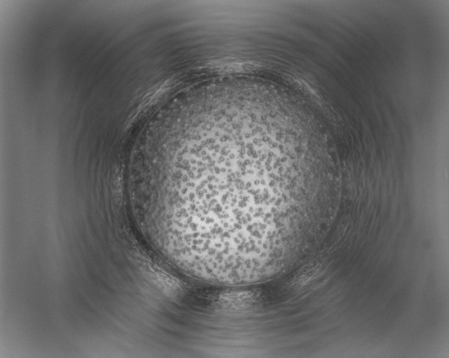 X0000056360357200509091629