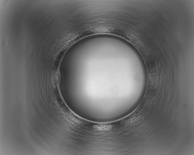 X0000056360359200509091629