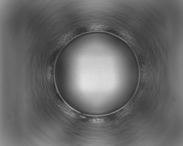 X0000056360361200509091629