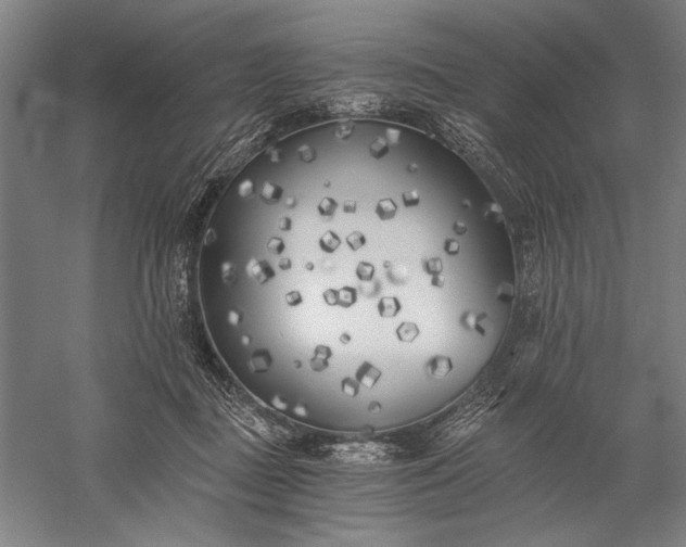 X0000056360363200509091629