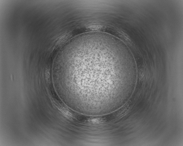 X0000056360365200509091629