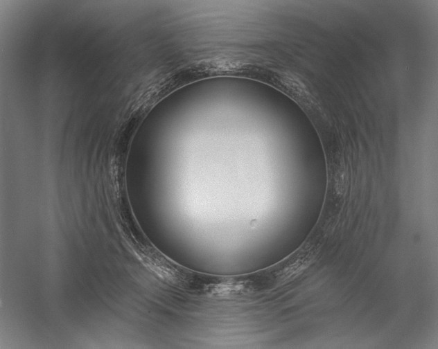 X0000056360366200509091629