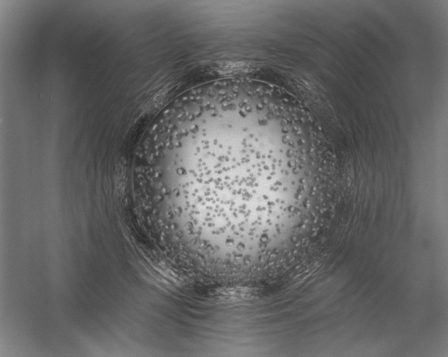 X0000056360367200509091629