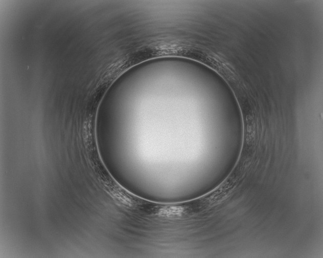 X0000056360369200509091629